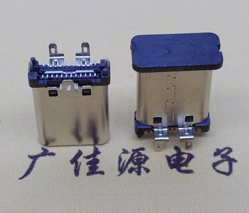 立貼USB 3.1 Type C公頭/插頭,殼三支腳插板 立貼USB 3.1 Type C公頭/插頭,殼三支腳插板